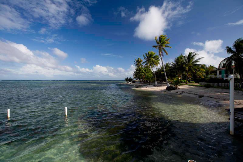 turneffe atoll resort