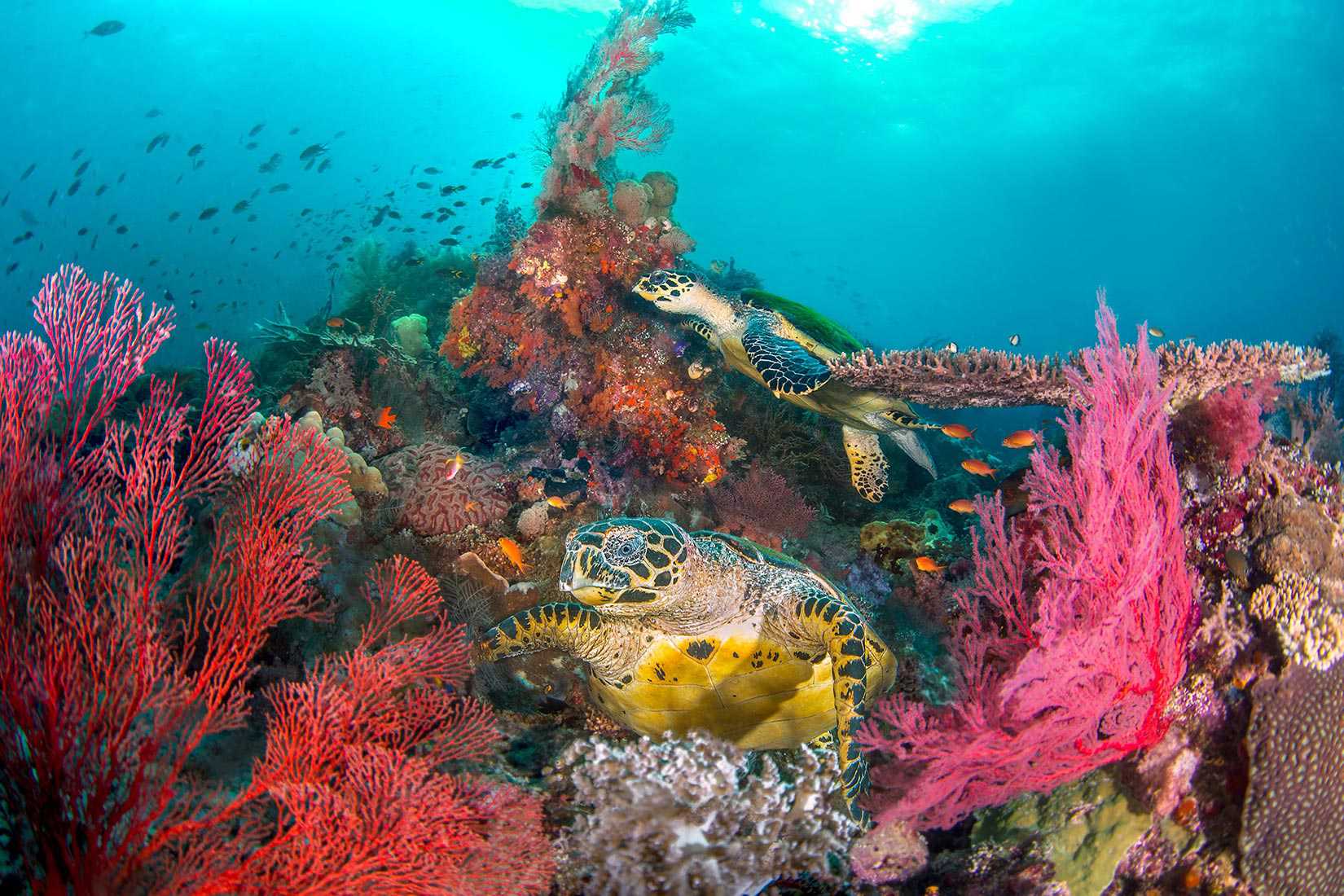 Guided Trips