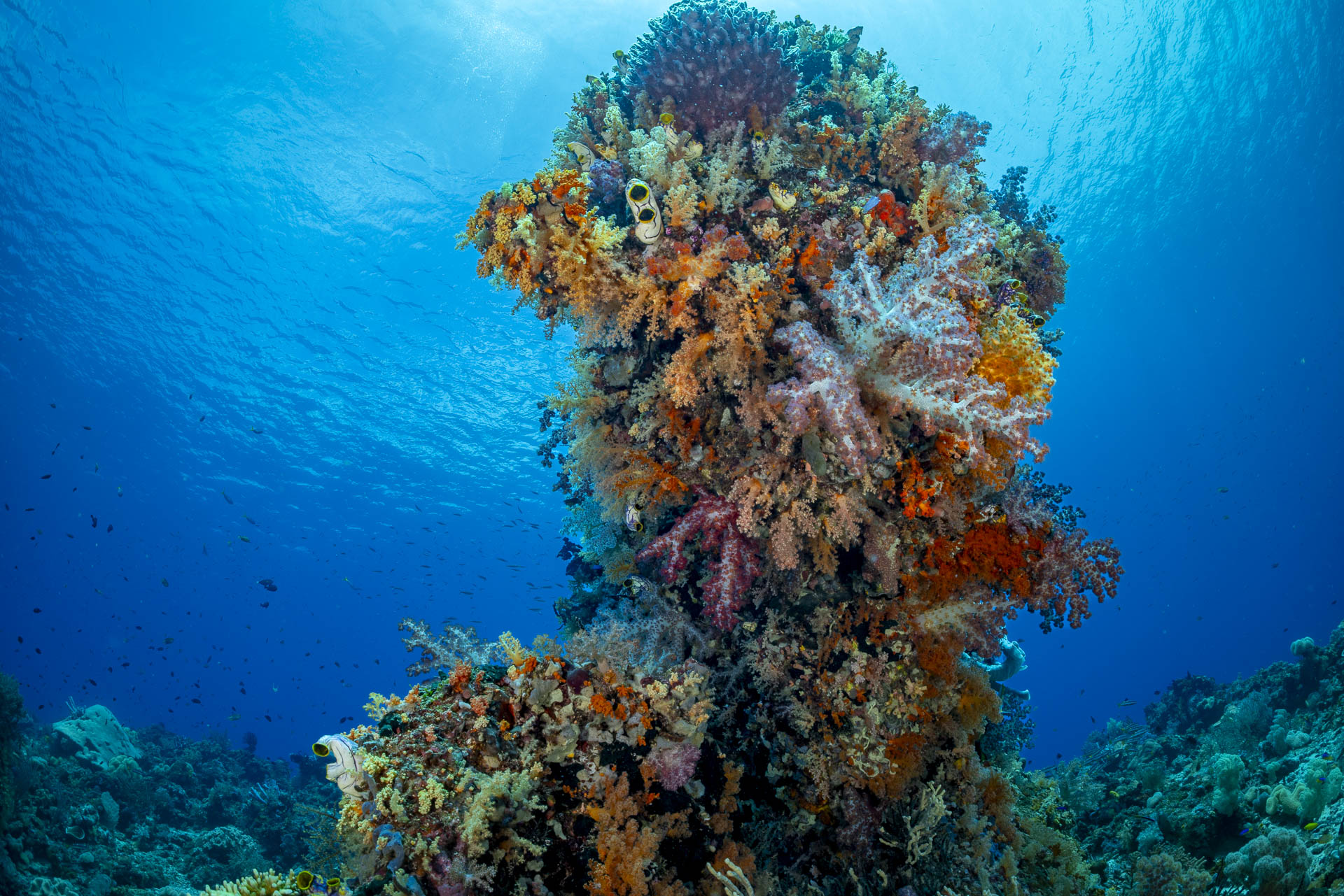 Misool marine reserve scenery